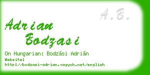 adrian bodzasi business card